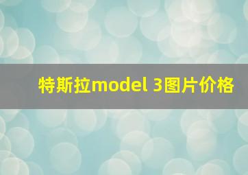 特斯拉model 3图片价格